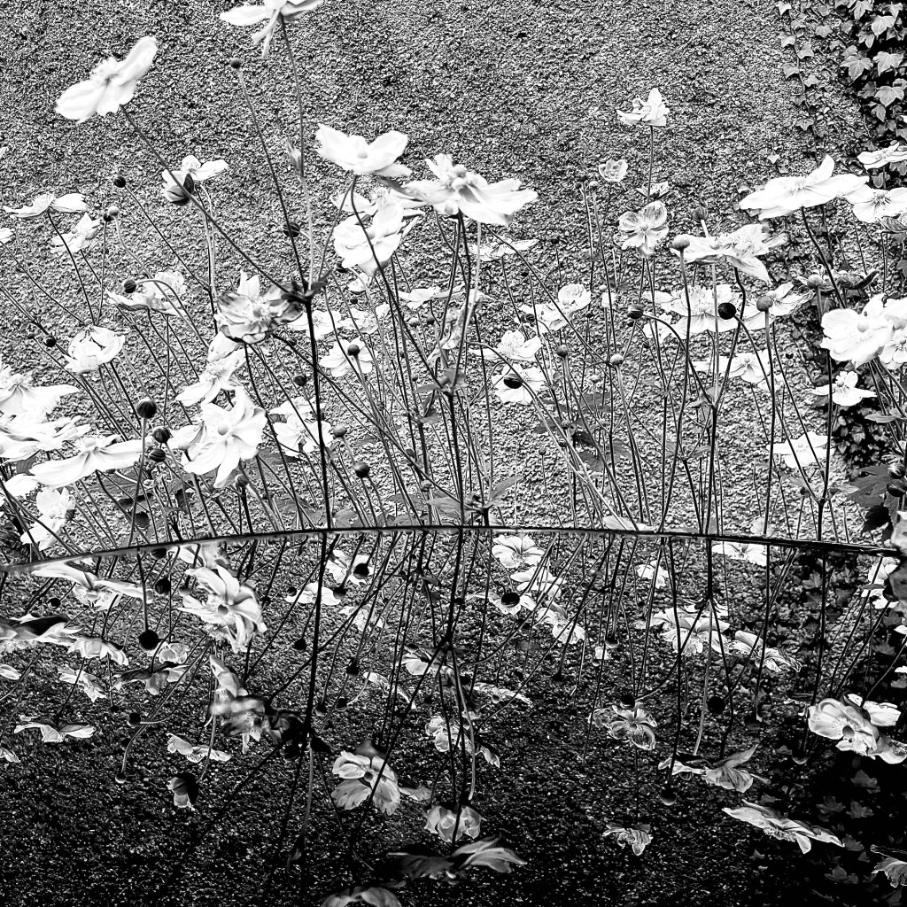 When Women Think “This Could Be Me”