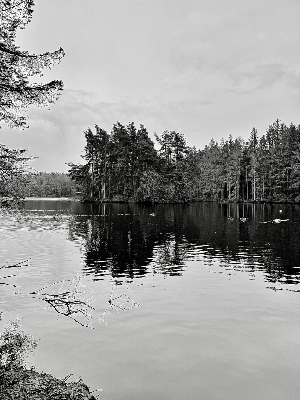 A Small Pause by the Water