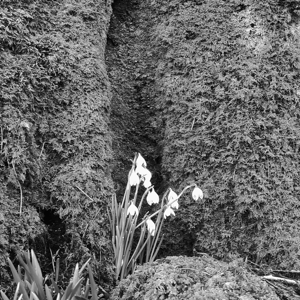 When the Inner Critic Takes&nbsp;Over