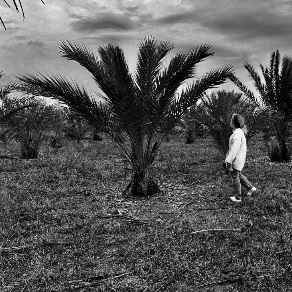 Mom, I’ll Call You Back. I’m Dismantling the&nbsp;Patriarchy