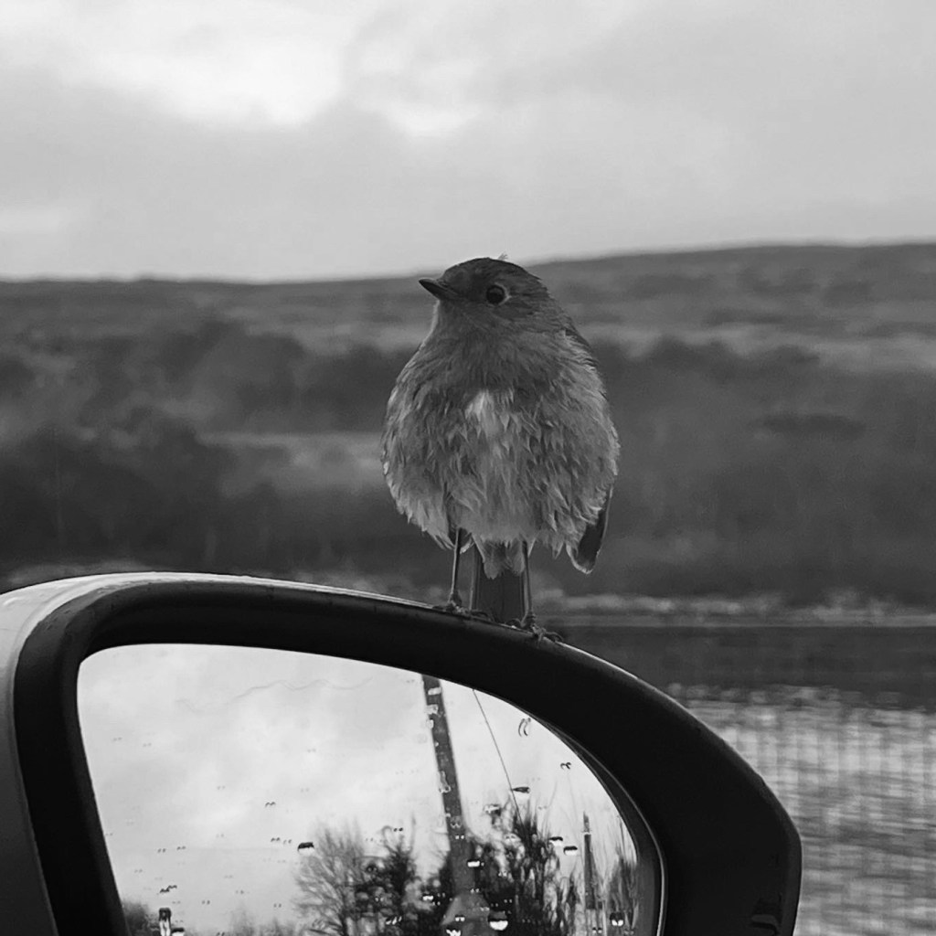 On Freedom, Cars, and Quiet&nbsp;Independence