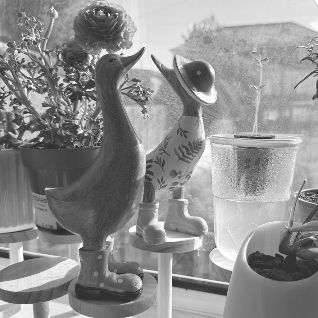 Planting Strawberries While the World Falls&nbsp;Apart