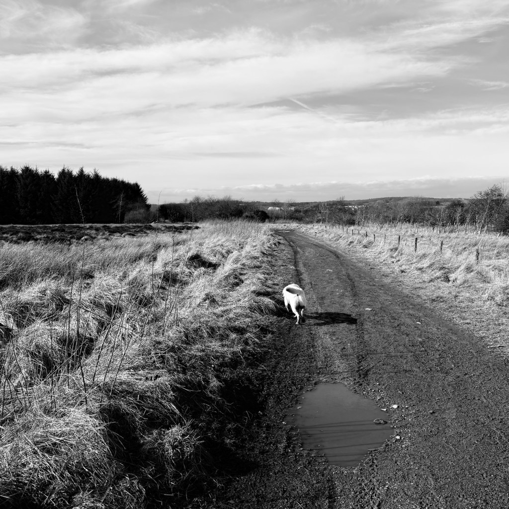 Waiting for Thoughts to Come&nbsp;Back