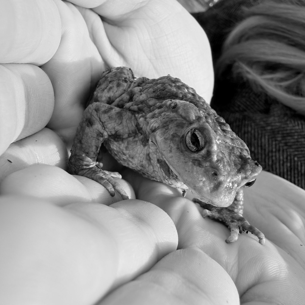 When Your Body Decides for&nbsp;You