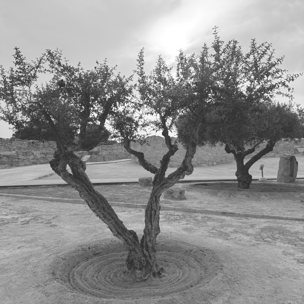 People Lived Here&nbsp;Once